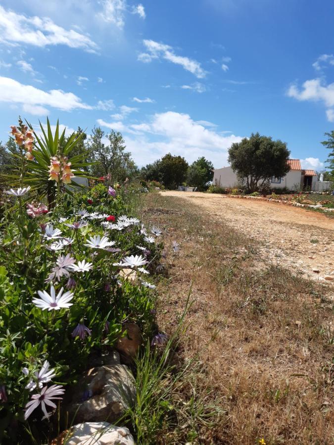 Quinta Da Jolanda-happy Family Farm Apartment