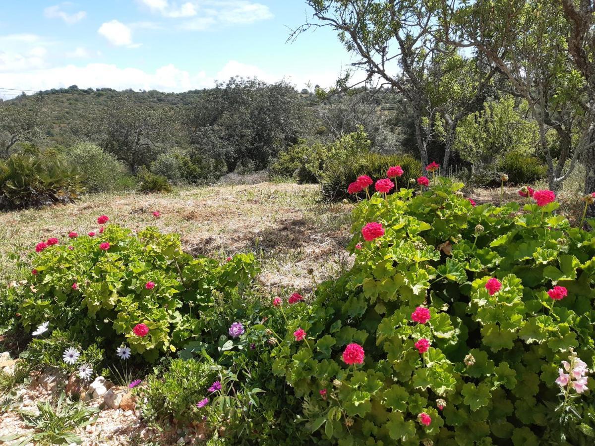 Quinta Da Jolanda-happy Family Farm Apartment *