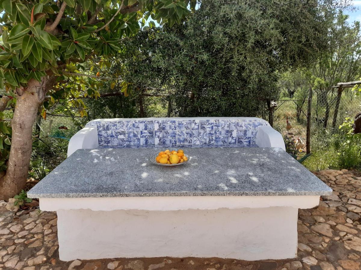 Quinta Da Jolanda-happy Family Farm Lagos