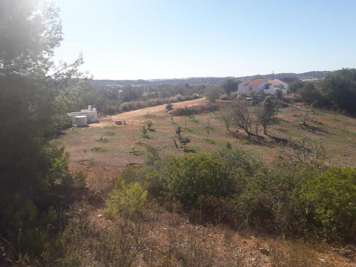 Quinta Da Jolanda-happy Family Farm *